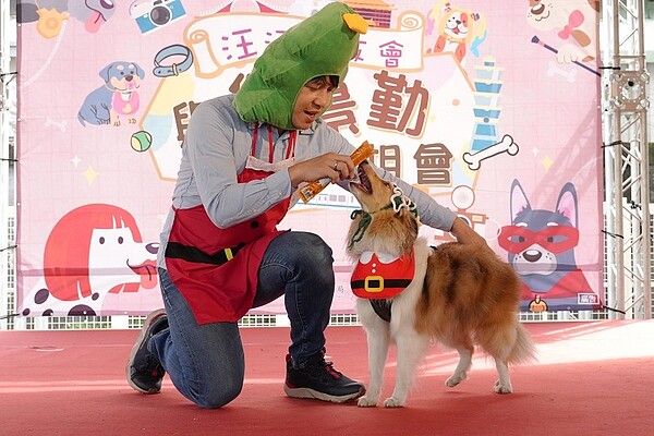 毛孩耶誕裝扮參與萌寵時裝秀。圖/台北市府提供