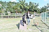 毛小孩新去處！溪湖中央公園寵物園區正式啟用