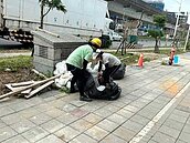 桃園A7建商蓋房壓壞人行道　「5工地」勒令停工　