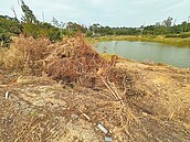 金門光華園包商毀水獺棲地　縣府令停工