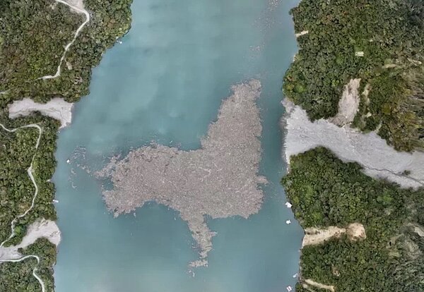 霧社水庫仍有不少漂流木,並因水流意外改變形狀,如同一隻超大海獅。圖/翻攝蔡嘉陽臉書