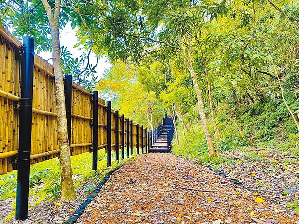 台中市觀旅局2日表示，雪山坑1期步道已完工開放通行，使用粗木屑鋪面呈現原始風格。圖／台中市觀旅局提供
