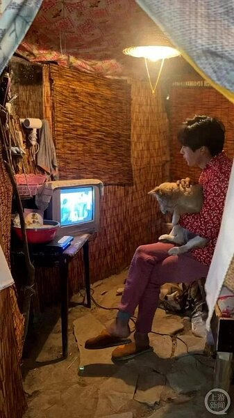 貴州21歲小伙「文子」住進山裡養老，圖為他抱著狗在看電視。圖／擷取自影片
