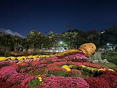 士林官邸菊展倒數5天！　超多好康優惠還可抽黃金