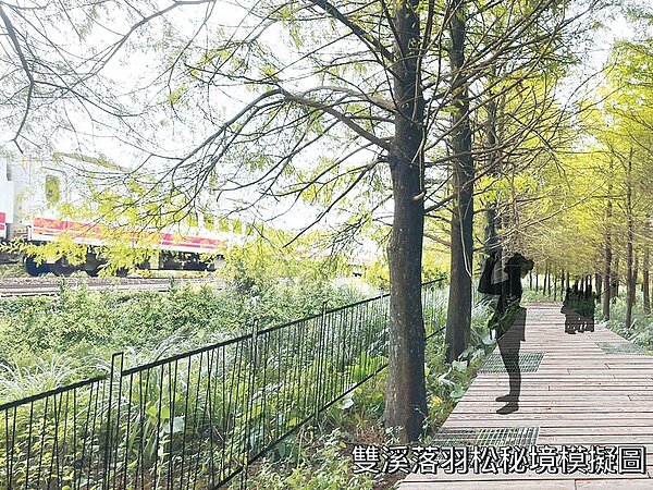 新北市觀旅局6日在市政會議,以「旅遊新北、即刻啟程」為主題報告,於今年在貢寮、雙溪打造環保公園驛站、十三層親水公園、魚行驛站與落羽松祕境新景點,預計明年6月完工,圖為位於雙溪的落羽松祕境模擬圖。圖/新北市觀旅局提供
