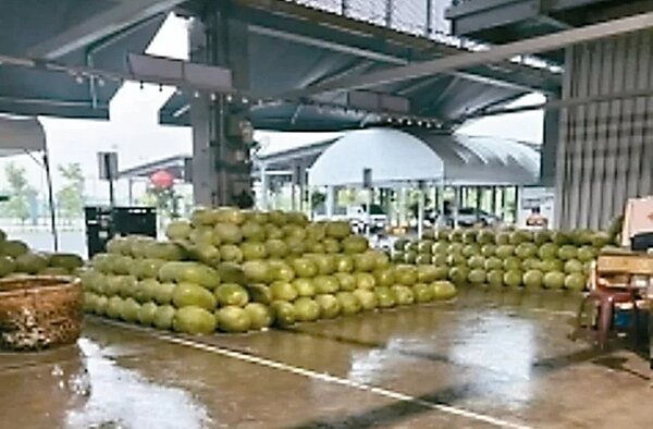 新化果菜市場的東面及南面,有潑雨及西曬問題。圖/市議員余柷青提供