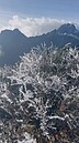 今「大雪」降雪機率低玉山有霧淞　天氣好轉下周二再變天