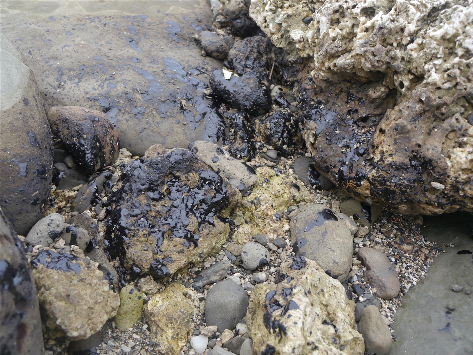 台東加路蘭遊憩區發現重油汙染，油汙卡在礁岩上。記者徐白櫻／攝影 