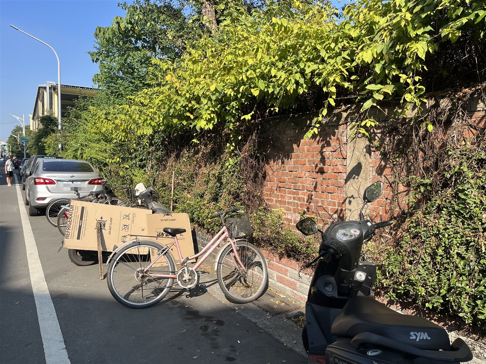 嘉義女中的國華街側邊圍牆,沿著牆邊有1條花圃,樹藤長滿牆面,還有車輛停放,讓師生難以行走。記者李宗祐/攝影