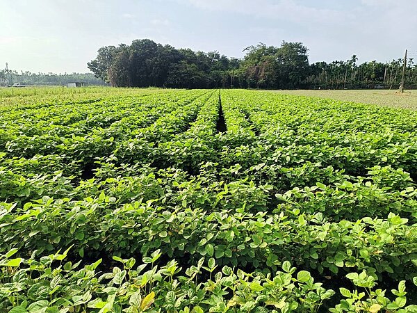 113年「綠色環境給付計畫」1月2日起開始受理申報。圖／屏東縣府提供