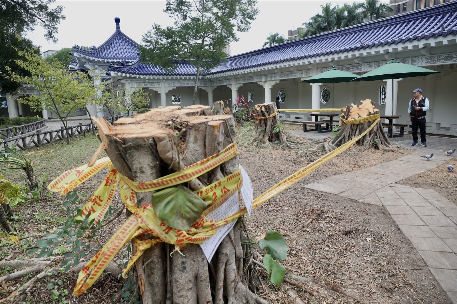 邰智源批砍樹設吸煙區風波,中正紀念堂管理處人員也在原本吸煙區的桌面貼禁菸貼紙,並擺上禁菸告示,今起全面禁菸。記者林俊良/攝影