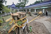 中正紀念堂取消吸菸區…外界籲修法「公園、文化場所全禁菸」　國健署回應