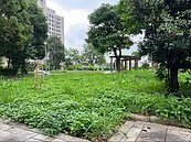 社區公園市有地雜亂　桃市清查