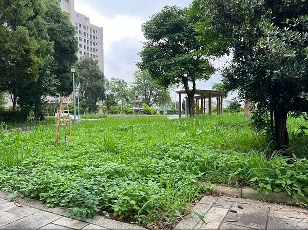 桃園市龍潭區旭日公園產權移撥給政府變公有地,社區管委會不願維護,雜草叢生。圖/市議員徐玉樹提供