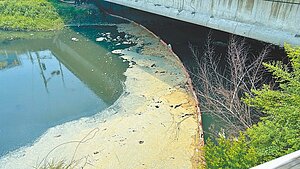 高雄市鳳山溪連3天遭偷排放廢水,不過環保局僅開罰了事,讓鳳山溪不斷出現廢水排放、魚群死亡的慘況。圖/高市議員李雅靜提供