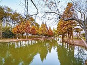 嘉義輕軌案　民代爭取延伸及增站點