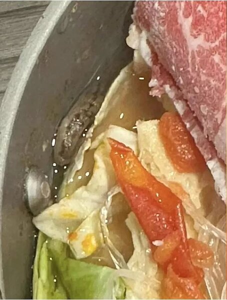 食安問題近日延燒,民眾投訴有「蛞蝓」出現在餐點,疑清洗過程有疏漏。攤販業者也說,近日雨天較多,土壤中的小動物容易附著在菜葉上,清洗上需更加注意。圖/翻攝自爆料公社