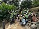 共創地方記憶　台中邀民眾參與鐵砧山桂花泉步道修繕