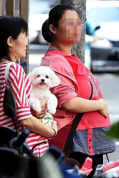 立院衛環會審查勞基法修法,立委提案增訂有薪流產假,勞動部回應雖然增加薪水有限,但擔心讓育齡婦女受到隱性的就業歧視。圖/聯合報系資料照片