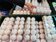 蛋價近2年新低　加速淘汰寡產母雞