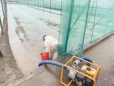 雲林縣有8萬7000公頃土地被畫為優良農地、一般農地,土地使用受限極大,農民營生不易,雲林縣長張麗善呼籲中央立法補貼農民。(周麗蘭攝)