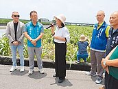 豪雨打趴百公頃玉米田　雲林爭取救助