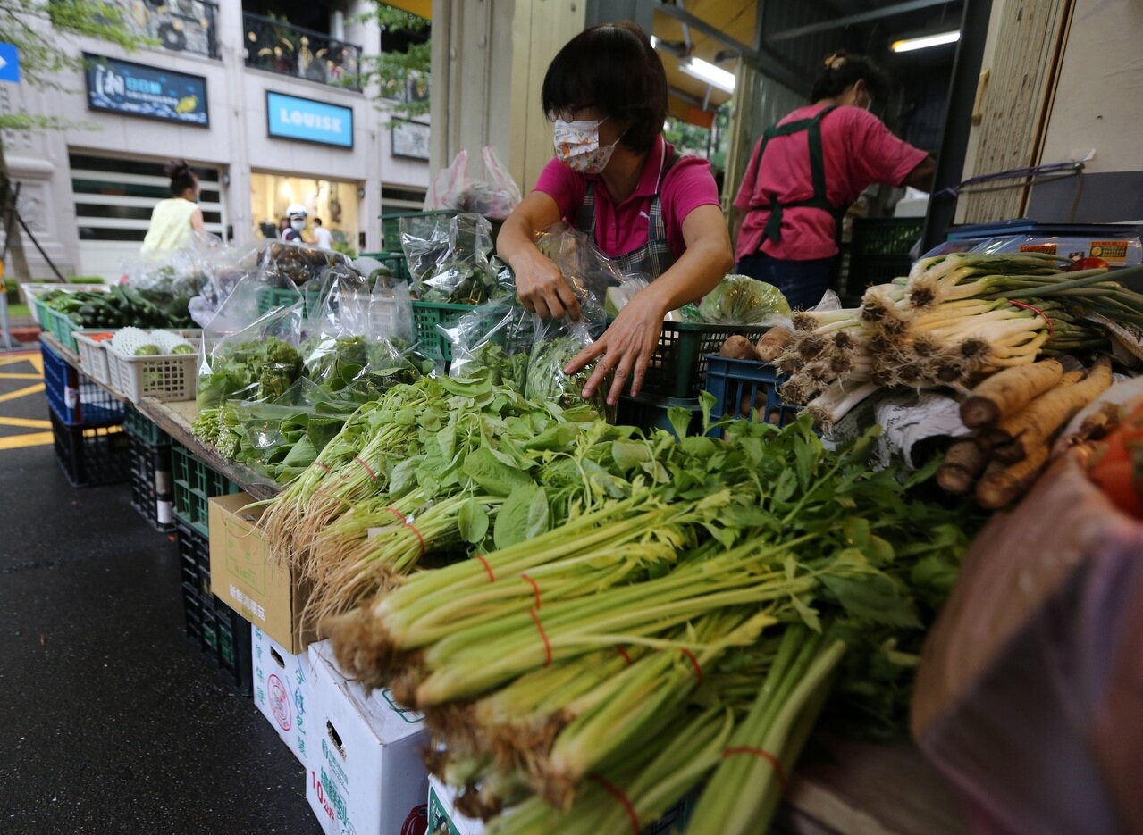 農糧署分享4個能延長葉菜類保存時間的方法。示意圖。圖/聯合報系資料照片