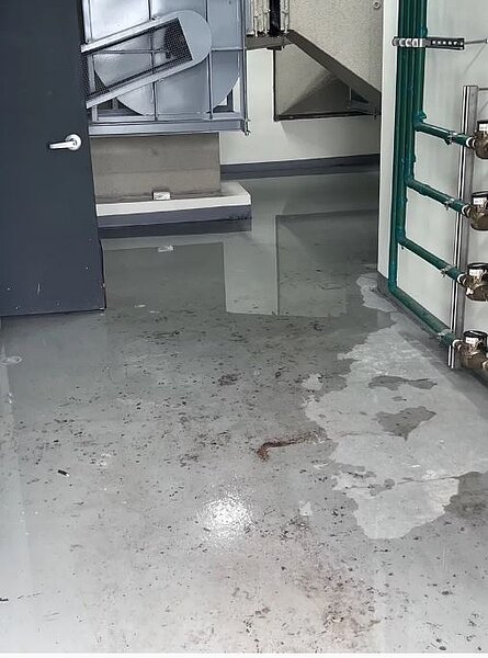 議員陳怡君說,近日大雨,前市長柯文哲任內引以為傲的廣慈社宅,卻發生D區有住戶電梯進水,導致4部電梯故障無法使用。圖/陳怡君提供