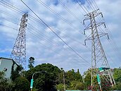 是真的！發生跳電常是「小動物誤觸」　台電強調不是缺電：停電了比誰都急