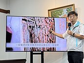 晴空匯其他棟樓消防稽查發現多項缺失　排煙故障、未設防火門