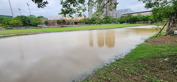 議員還發現，天母運動公園內當初舉辦「天母搞什麼鬼」活動用的大草皮，只要下大雨就會淹水，「就像一條河」。周邊居民還說，草坪淹水變成水鄉澤國，水裡還有魚在跳。圖／議員林杏兒辦公室提供