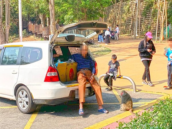 高雄一位老翁幾乎天天在動物園前上演「餵食秀」，還嗆「歡迎檢舉，沒財產不怕」。圖／民眾提供