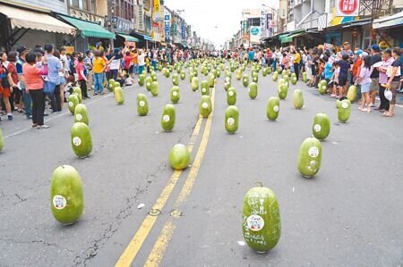 
屏東縣佳冬鄉端午立西瓜活動暌違4年後，今年擴大舉辦，800顆大西瓜排滿整條街道，總數創下新紀錄。（羅琦文攝）

