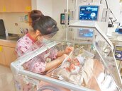 CDR揭生育津貼 推升台灣新生兒死亡率