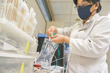 
永豐化學新莊工廠停止生產，為補足每月150萬袋大包裝生理食鹽水的缺口，衛福部啟動專案進口。圖為醫護人員為患者準備注射用食鹽水。（本報資料照片）
