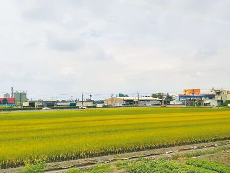 雲林縣在國土計畫中被畫為「農一」、「農二」的土地近8萬8000公頃,是全國最多。(周麗蘭攝)