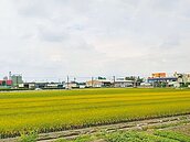 國土計畫爭議　雲林農地全台最多　張麗善嗆：比照屏東