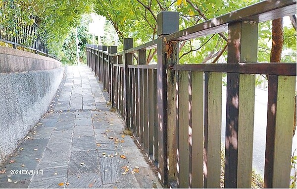 台北市樂活櫻花季吸引全台觀光客至內湖區內溝溪沿線賞櫻,五分埤步道完工10餘年,因人潮眾多使用頻繁造成欄杆、步道損壞,當地內溝里長王曉芳盼市府盡快維護、改善。圖/台北市內湖區內溝里長王曉芳提供