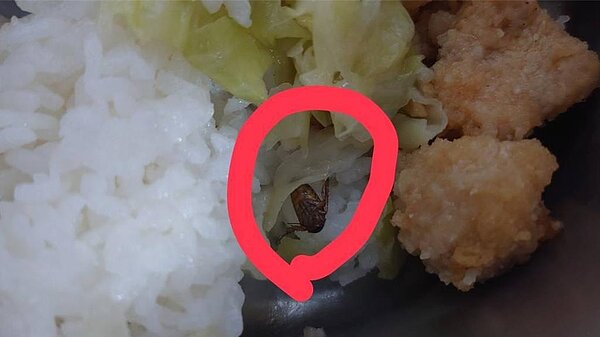 台北市某國小學生11日打菜用餐時，發現餐盒內有蟑螂，校方表示已要求廠商全面停止供餐一周。（民眾提供／劉瑋晴台北傳真)