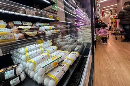 農業部長陳駿季13日在立院備詢時坦言,雞蛋消費量持續低迷。圖∕本報資料照片