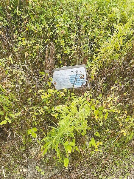 民航局在農田插牌警告,若農民再有耕種行為,將會採取法律措施,但卻對農田置之不理,無任何管理行為。(姜霏攝)