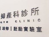 20～40歲限捐卵1次　可領9.9萬元營養費