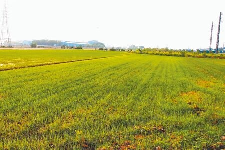 
《國土計畫法》預計2025年4月上路，苗栗縣政府17日舉行內部會議，決議遵照縣長鍾東錦指示，將參照屏東縣版本，適度調整農一變為農二土地。（李京昇攝）
