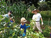 輕鬆擁有開心農場！台中開放報名　30名幸運兒免費耕種5個月