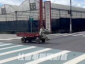 台中10歲男童開搬運車過馬路　幫中風父「不是童工」原因曝