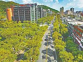 政府出手　為綠建築上緊發條