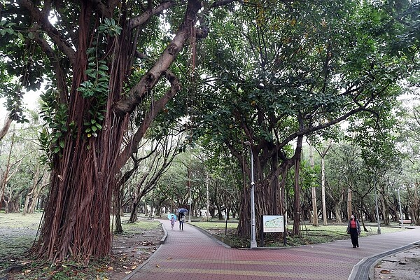台北市大安森林公園。聯合報系資料照