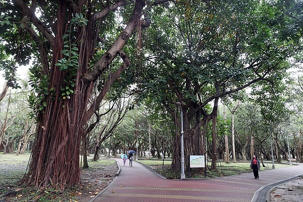 台北市大安森林公園。聯合報系資料照