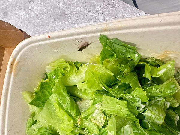 食安問題連環爆,北市內湖區某連鎖輕食咖啡店遭網友控訴,沙拉吃到一半竟有蟲爬出來,原以為只是菜蟲,仔細一看竟是蟑螂,嚇得當場失去胃口。圖/翻攝Threads「@miaobecky」帳號