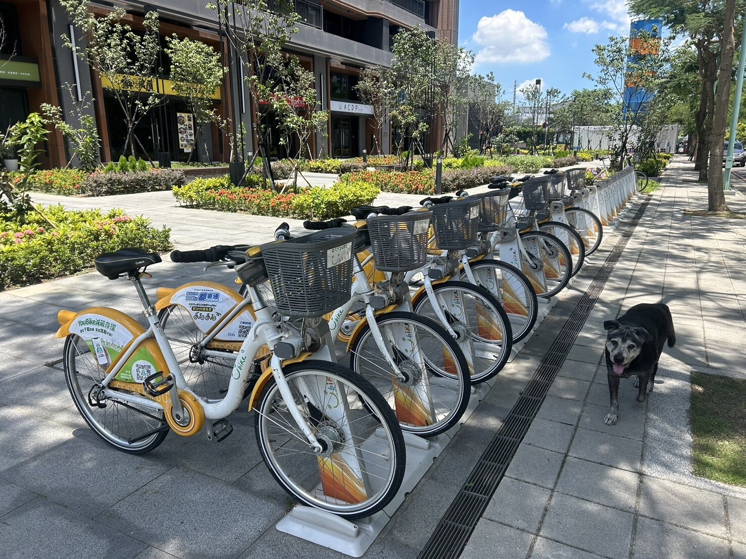 新北市目前已完成淡水、新店、汐止、板橋、土城、中和、永和、新莊、土城、八里共10個行政區升級YouBike2.0。記者張曼蘋／攝影 